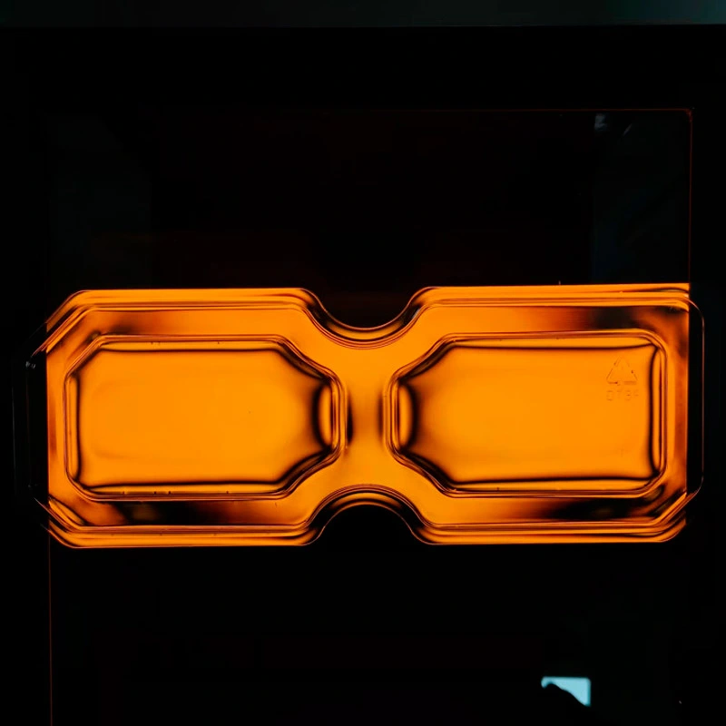 PET Preform Strain Viewer